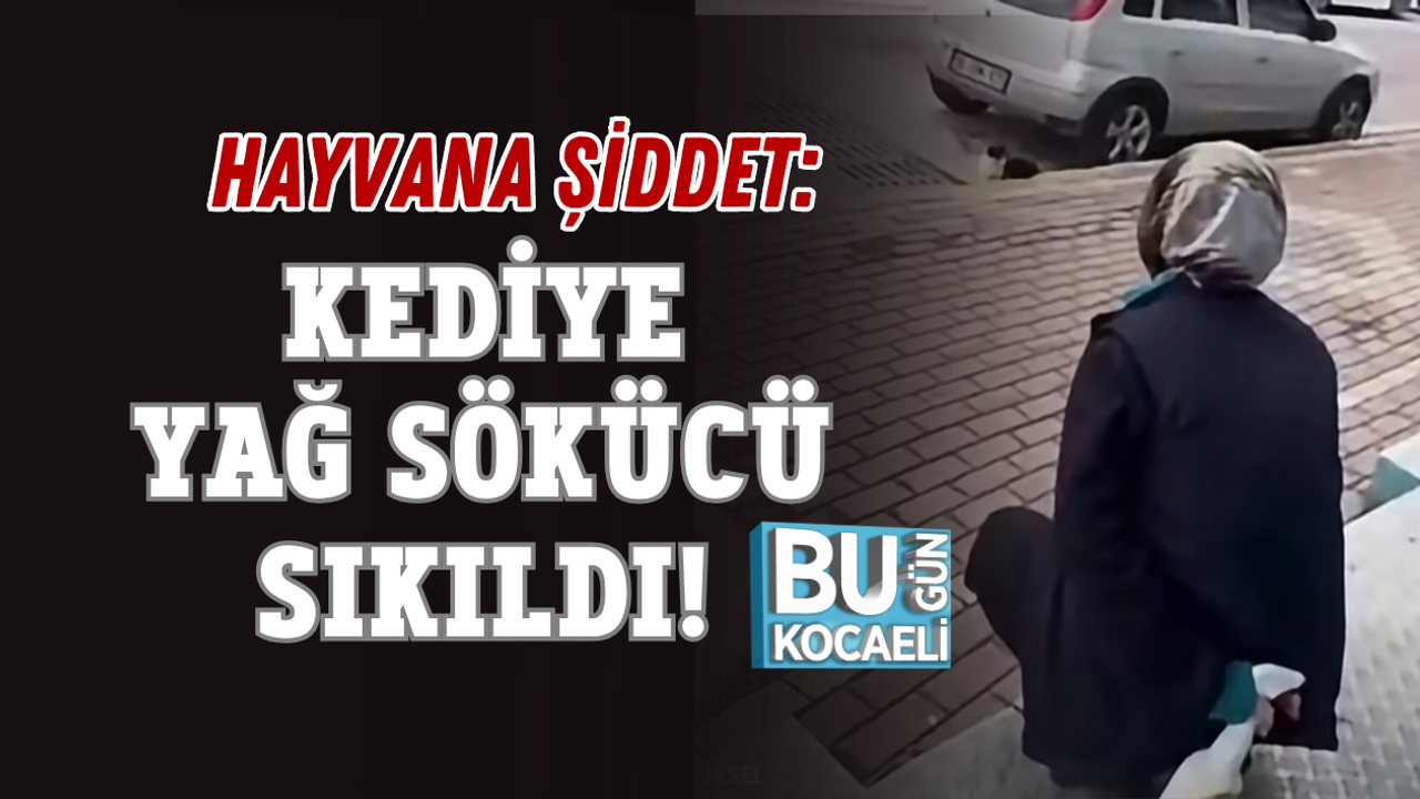 HAYVANA ŞİDDET: KEDİYE YAĞ SÖKÜCÜ SIKILDI!