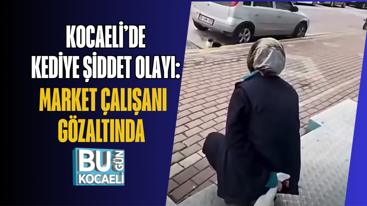 KOCAELİ’DE KEDİYE ŞİDDET OLAYI: MARKET ÇALIŞANI GÖZALTINDA