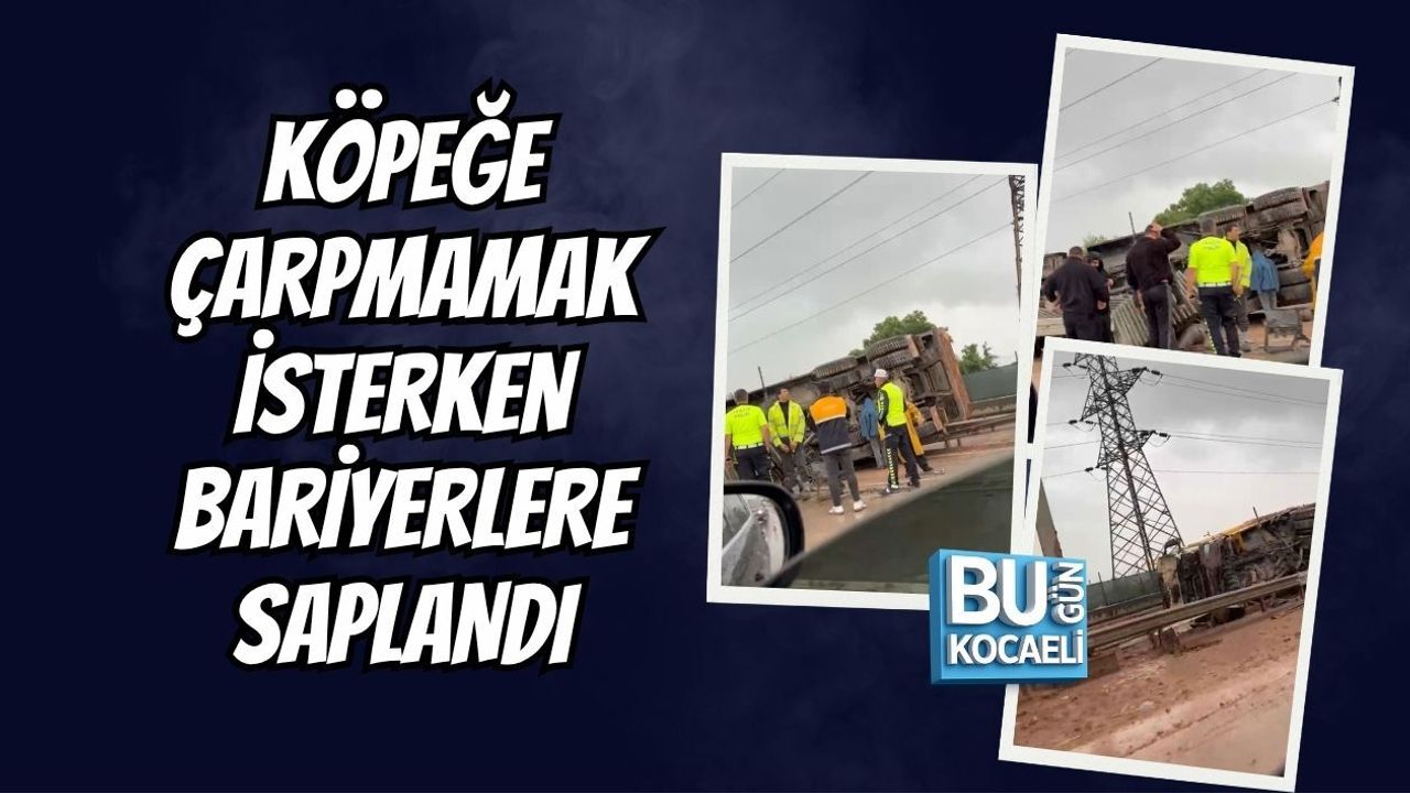 KÖPEĞE ÇARPMAMAK İSTERKEN BARİYERLERE SAPLANDI