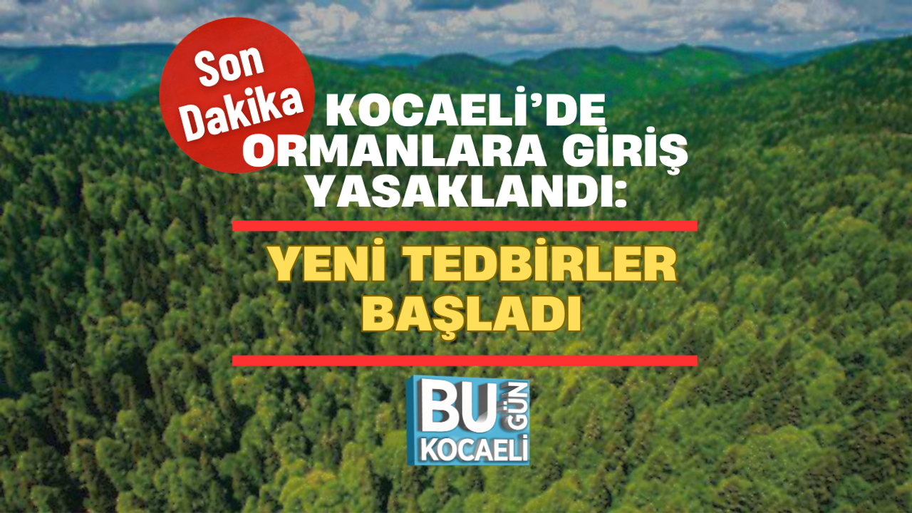 SON DAKİKA! KOCAELİ’DE ORMANLARA GİRİŞ YASAKLANDI: YENİ TEDBİRLER BAŞLADI