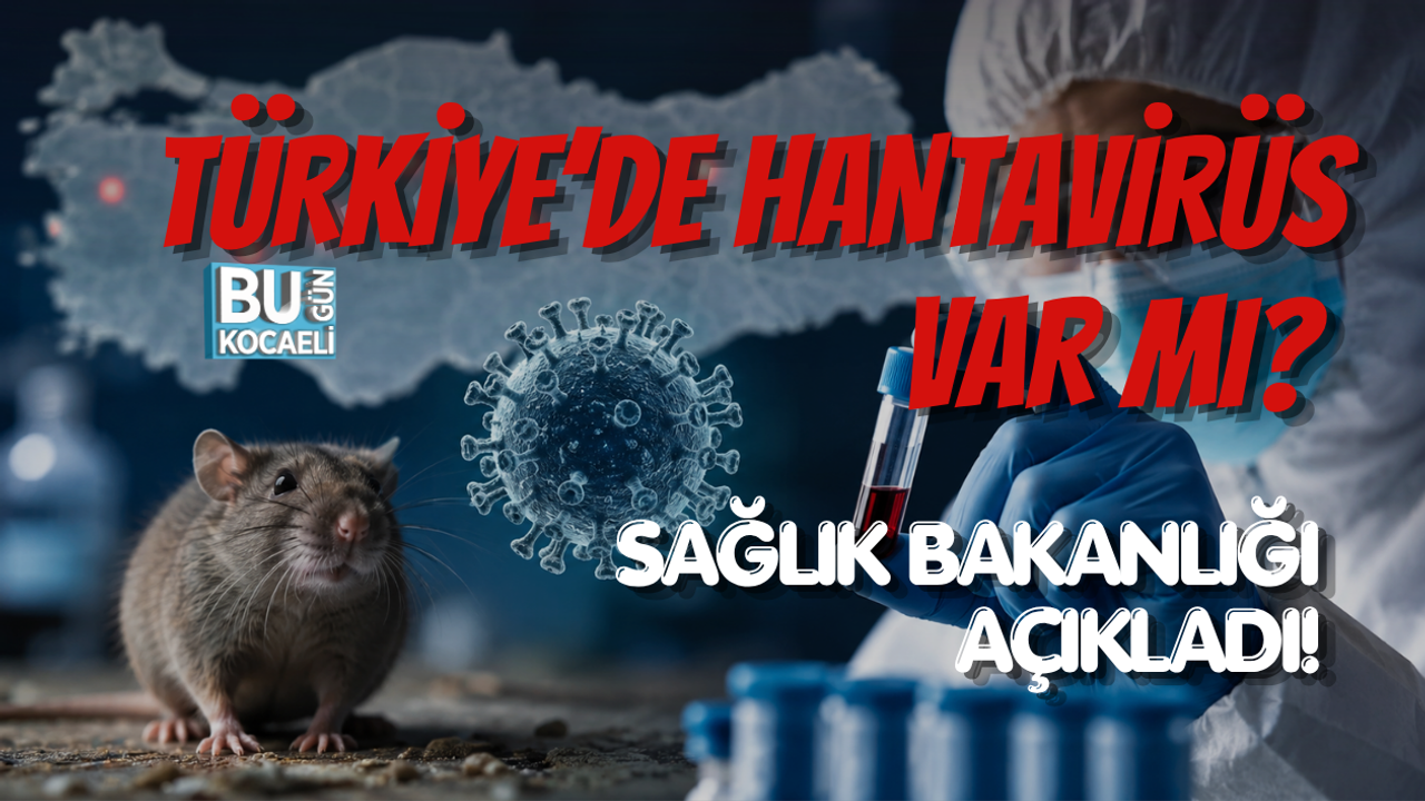 TÜRKİYE’DE HANTAVİRÜS VAR MI? SAĞLIK BAKANLIĞI AÇIKLADI!