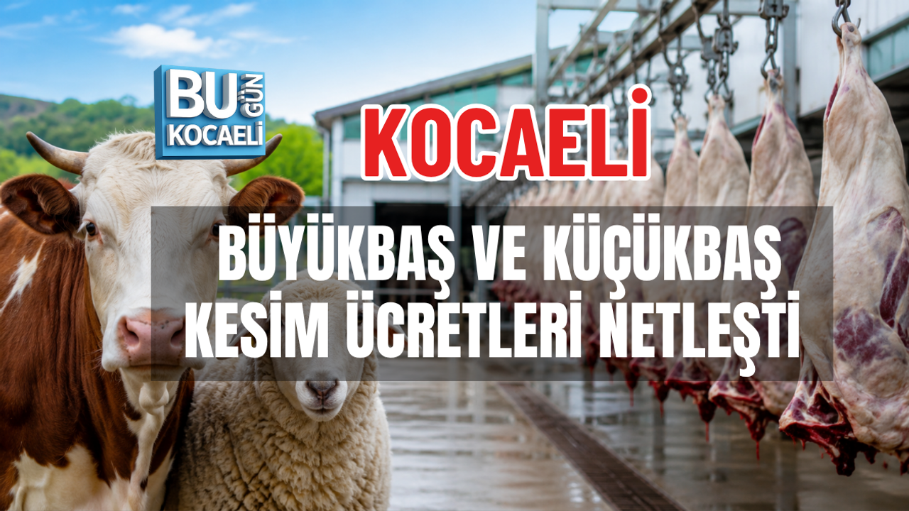 KOCAELİ BÜYÜKBAŞ VE KÜÇÜKBAŞ KESİM ÜCRETLERİ NETLEŞTİ