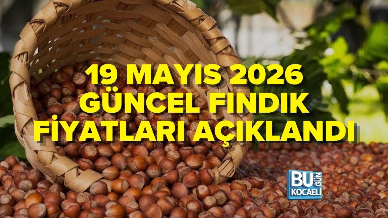 19 MAYIS 2026 GÜNCEL FINDIK FİYATLARI AÇIKLANDI