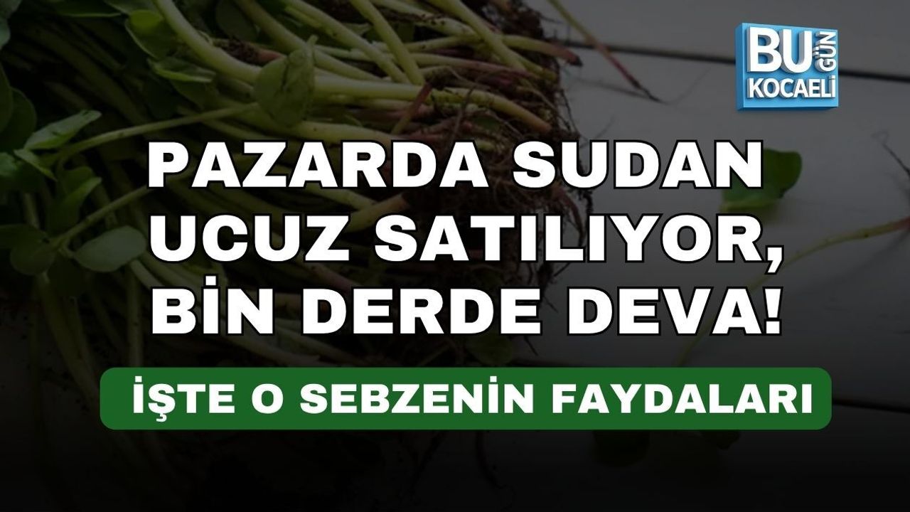 PAZARDA SUDAN UCUZ SATILIYOR, BİN DERDE DEVA! İŞTE O SEBZENİN FAYDALARI