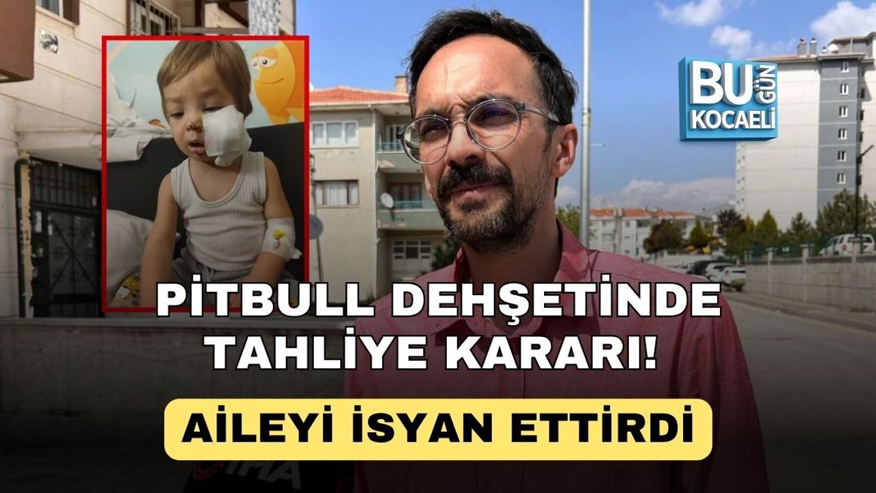 PİTBULL DEHŞETİNDE TAHLİYE KARARI! AİLEYİ İSYAN ETTİRDİ