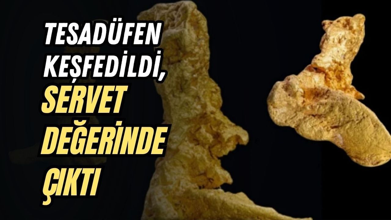 TESADÜFEN KEŞFEDİLDİ, SERVET DEĞERİNDE ÇIKTI