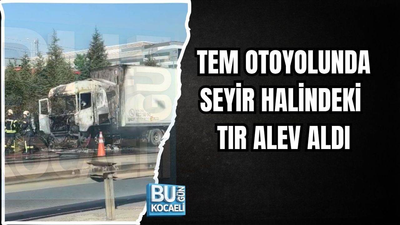 TEM OTOYOLUNDA SEYİR HALİNDEKİ TIR ALEV ALDI