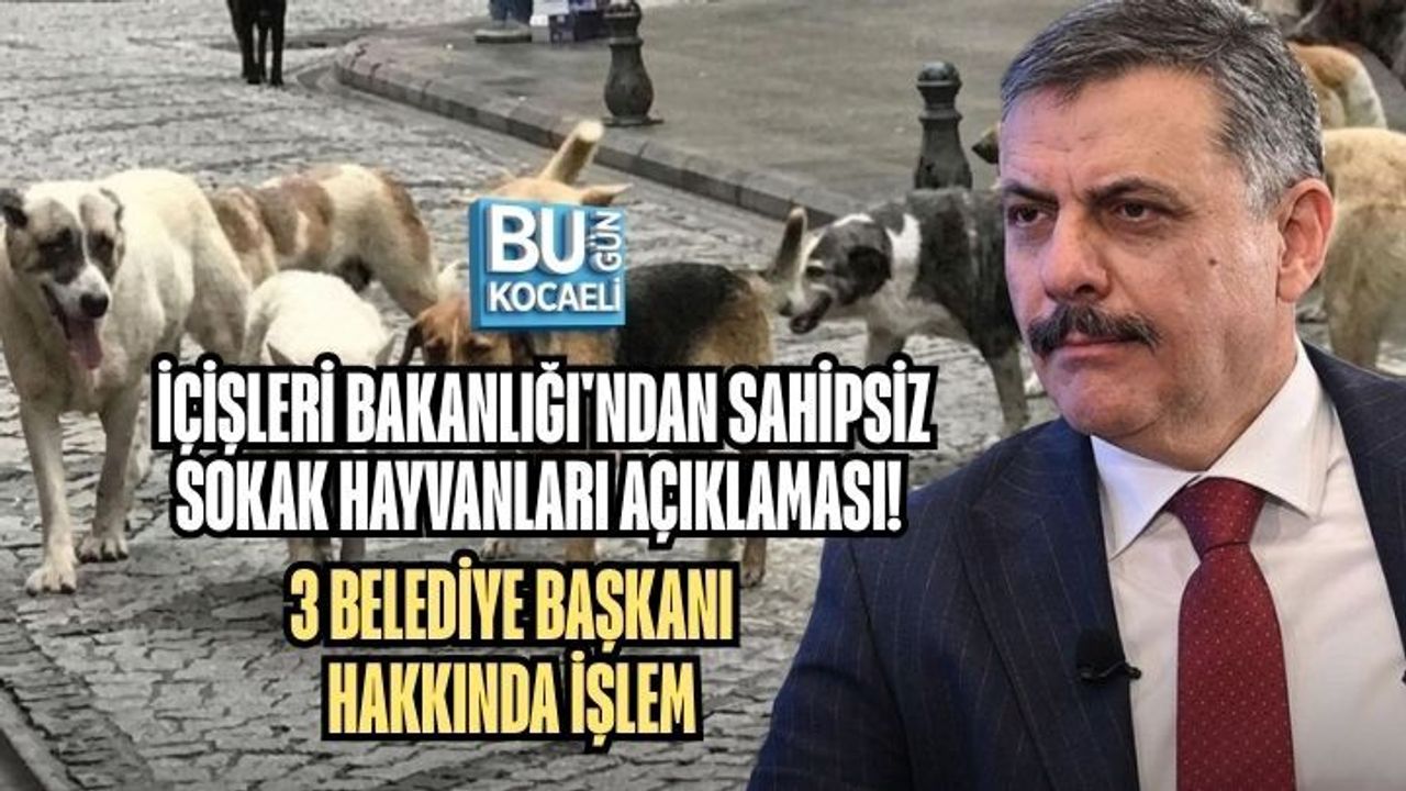 İÇİŞLERİ BAKANLIĞI'NDAN SAHİPSİZ SOKAK HAYVANLARI AÇIKLAMASI! 3 BELEDİYE BAŞKANI HAKKINDA İŞLEM