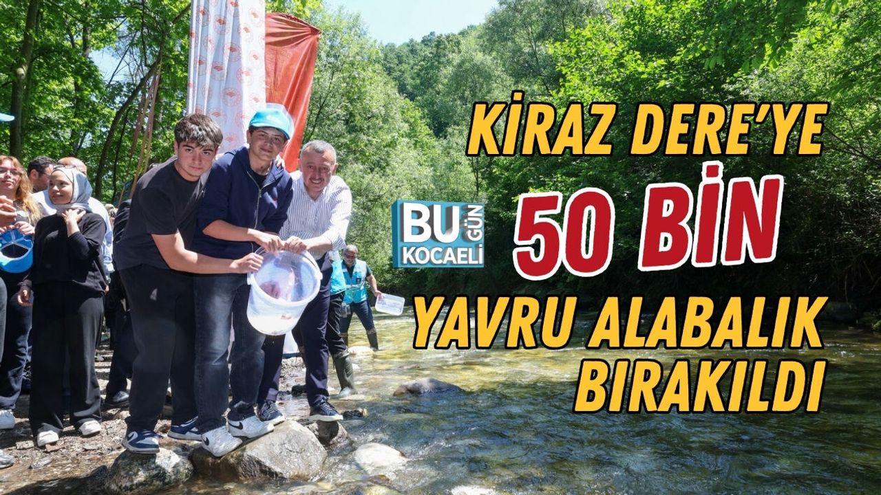 KİRAZ DERE'YE 50 BİN YAVRU ALABALIK BIRAKILDI