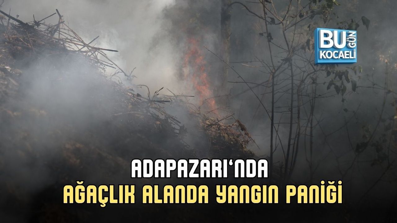 ADAPAZARI’NDA AĞAÇLIK ALANDA YANGIN PANİĞİ