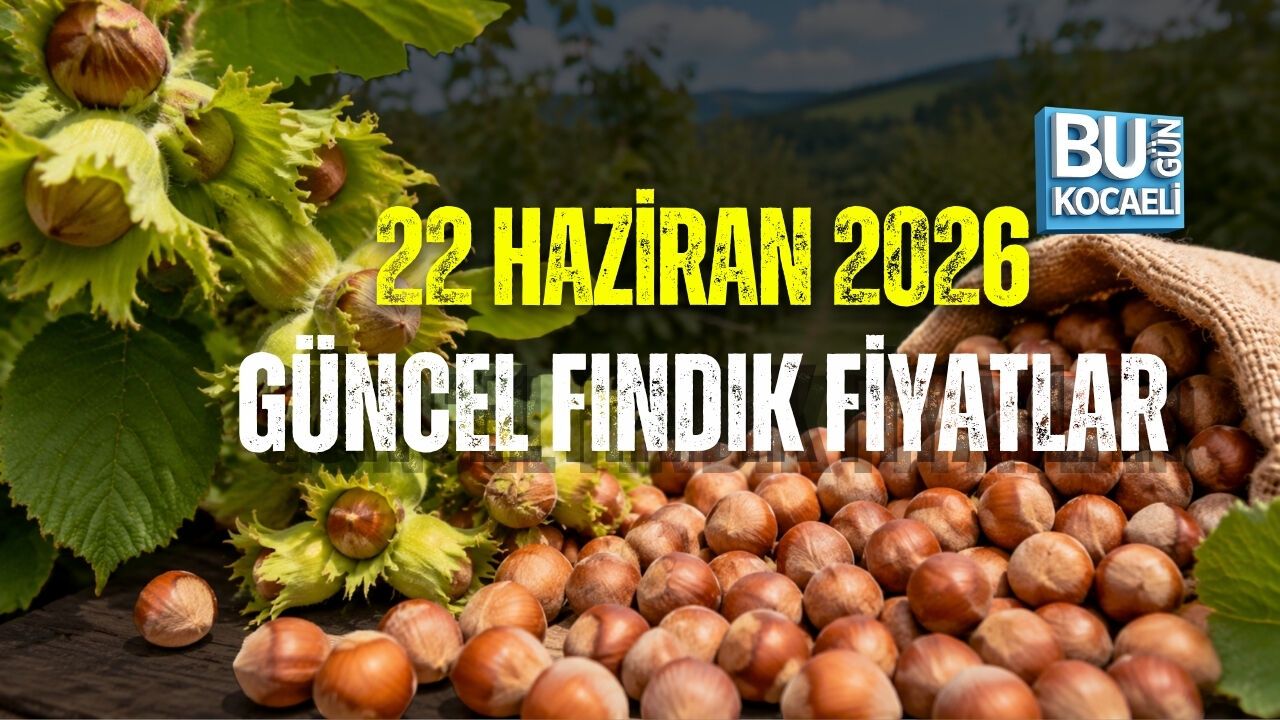 22 HAZİRAN GÜNCEL FINDIK FİYATLARI