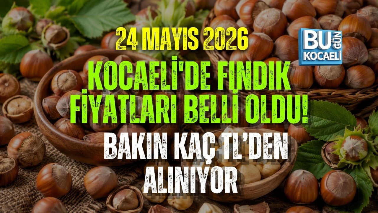 24 MAYIS 2026 KOCAELİ'DE FINDIK RAKAMLAR BELLİ OLDU! BAKIN KAÇ TL’DEN ALINIYOR