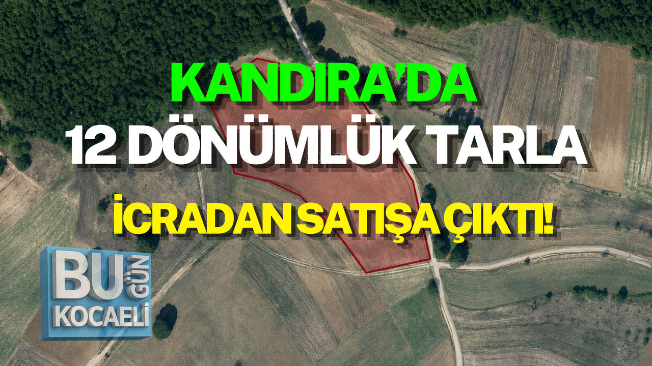 KANDIRA’DA 12 DÖNÜMLÜK TARLA İCRADAN SATIŞA ÇIKTI