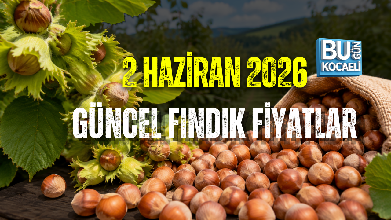 2 HAZİRAN 2026 GÜNCEL FINDIK FİYATLARI