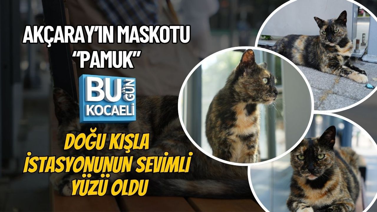 AKÇARAY’IN MASKOTU “PAMUK” DOĞU KIŞLA İSTASYONUNUN SEVİMLİ YÜZÜ OLDU
