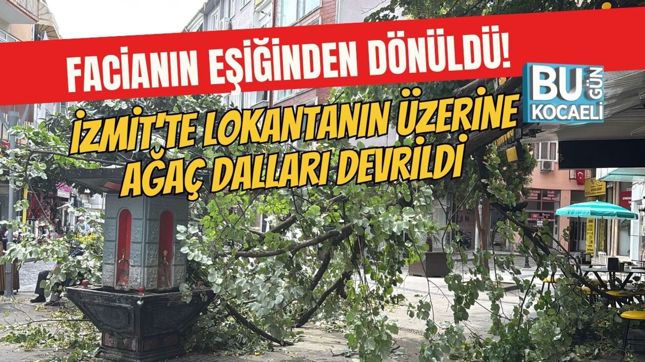 İZMİT'TE LOKANTANIN ÜZERİNE AĞAÇ DALLARI DEVRİLDİ FACİANIN EŞİĞİNDEN DÖNÜLDÜ!