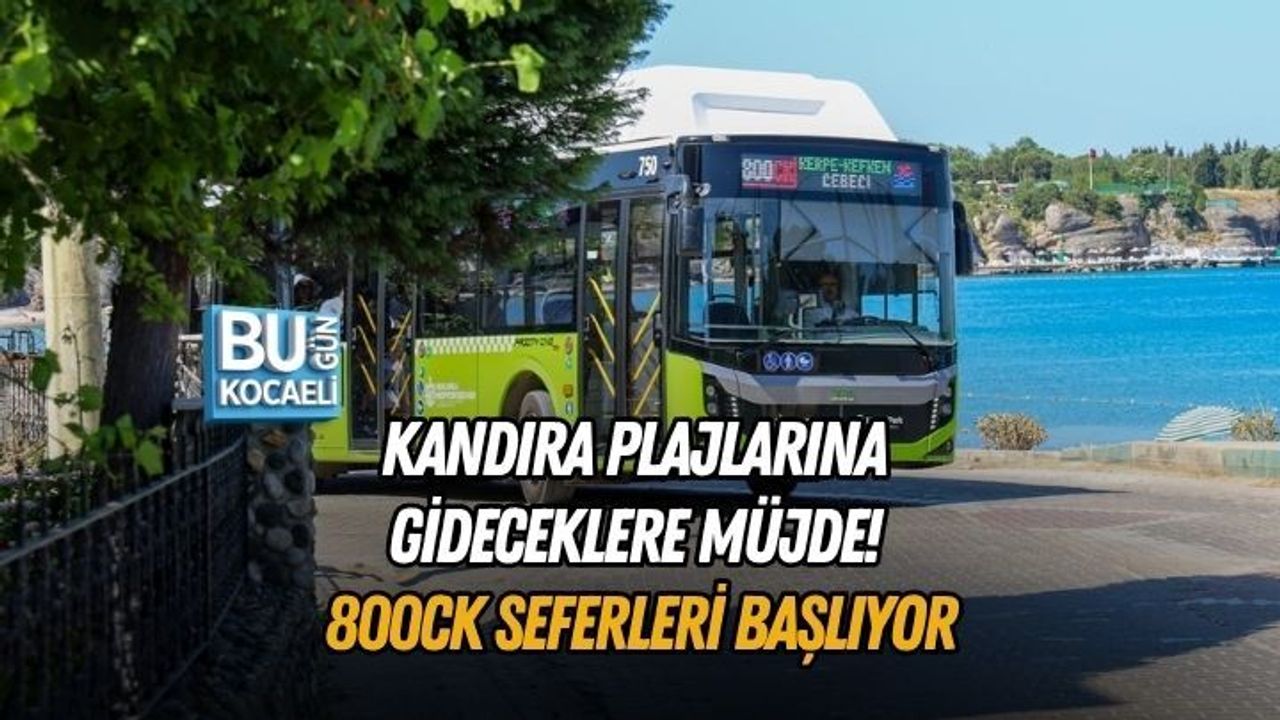 KANDIRA PLAJLARINA GİDECEKLERE MÜJDE! 800CK SEFERLERİ BAŞLIYOR