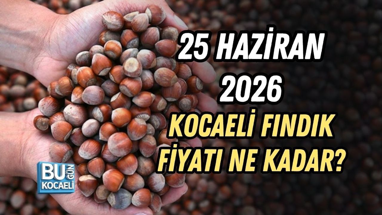 25 HAZİRAN 2026 KOCAELİ FINDIK FİYATI NE KADAR?