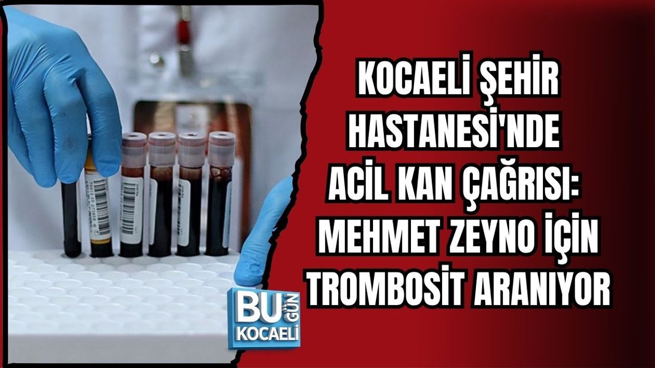KOCAELİ ŞEHİR HASTANESİ'NDE ACİL KAN ÇAĞRISI: MEHMET ZEYNO İÇİN TROMBOSİT ARANIYOR