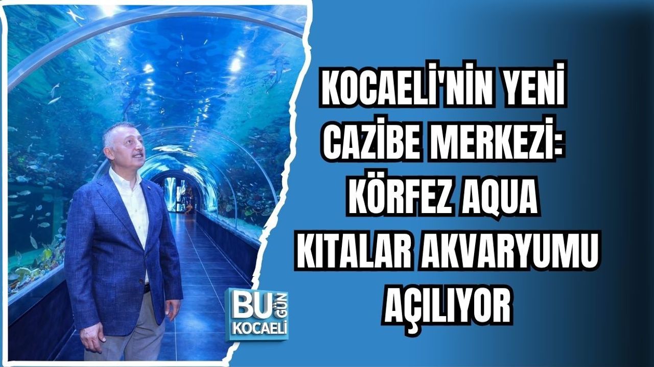 KOCAELİ'NİN YENİ CAZİBE MERKEZİ: KÖRFEZ AQUA KITALAR AKVARYUMU AÇILIYOR