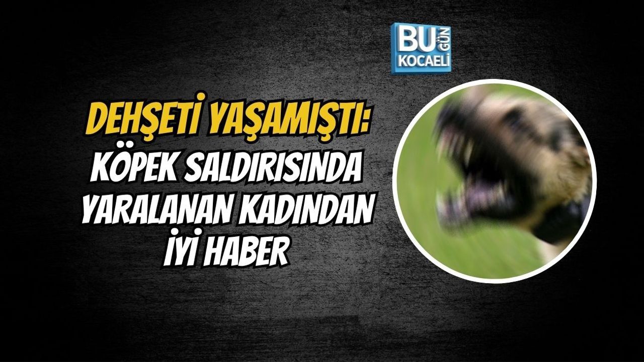 DEHŞETİ YAŞAMIŞTI: KÖPEK SALDIRISINDA YARALANAN KADINDAN İYİ HABER