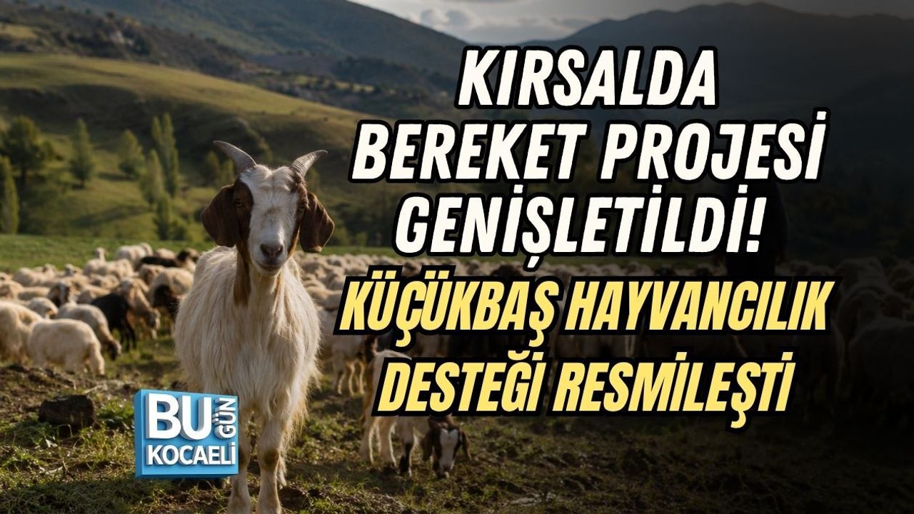 KIRSALDA BEREKET PROJESİ GENİŞLETİLDİ! KÜÇÜKBAŞ HAYVANCILIK DESTEĞİ RESMİLEŞTİ