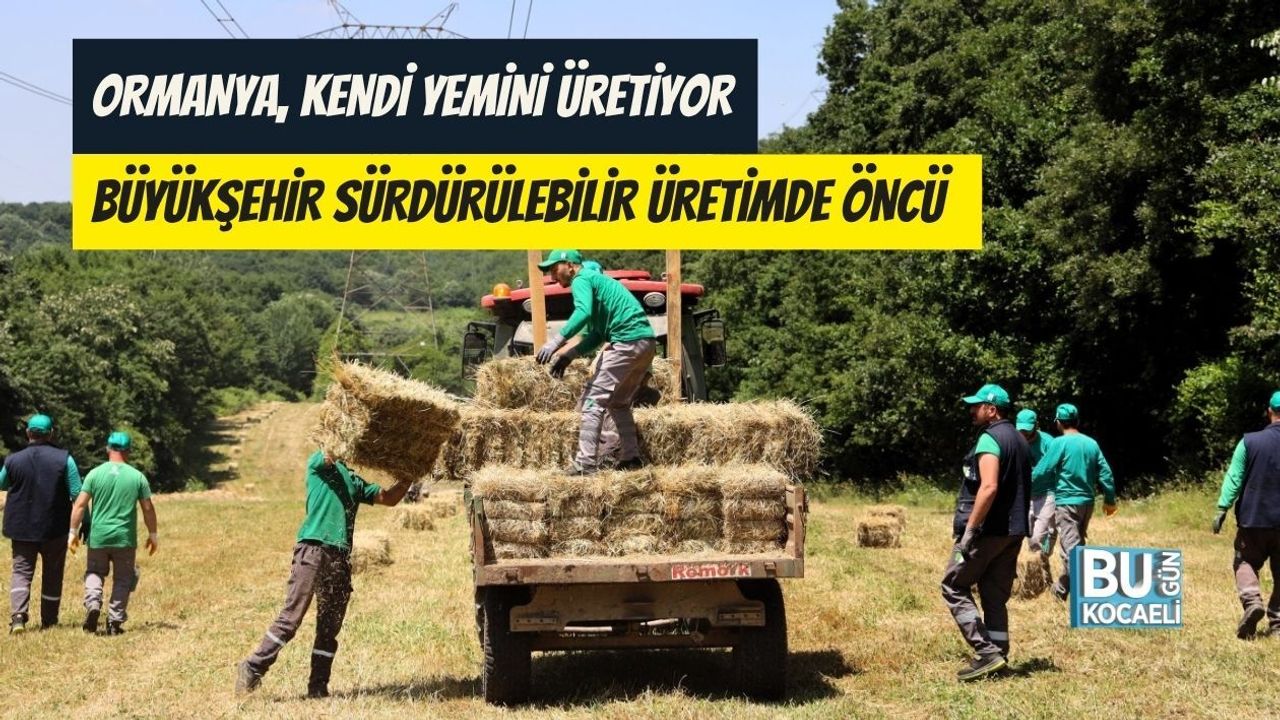 ORMANYA, KENDİ YEMİNİ ÜRETİYOR: BÜYÜKŞEHİR SÜRDÜRÜLEBİLİR ÜRETİMDE ÖNCÜ