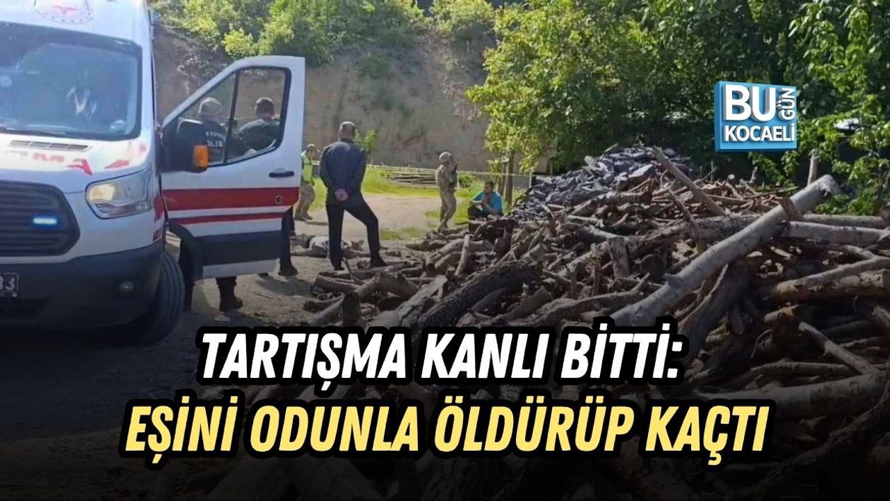 TARTIŞMA KANLI BİTTİ: EŞİNİ ODUNLA ÖLDÜRÜP KAÇTI