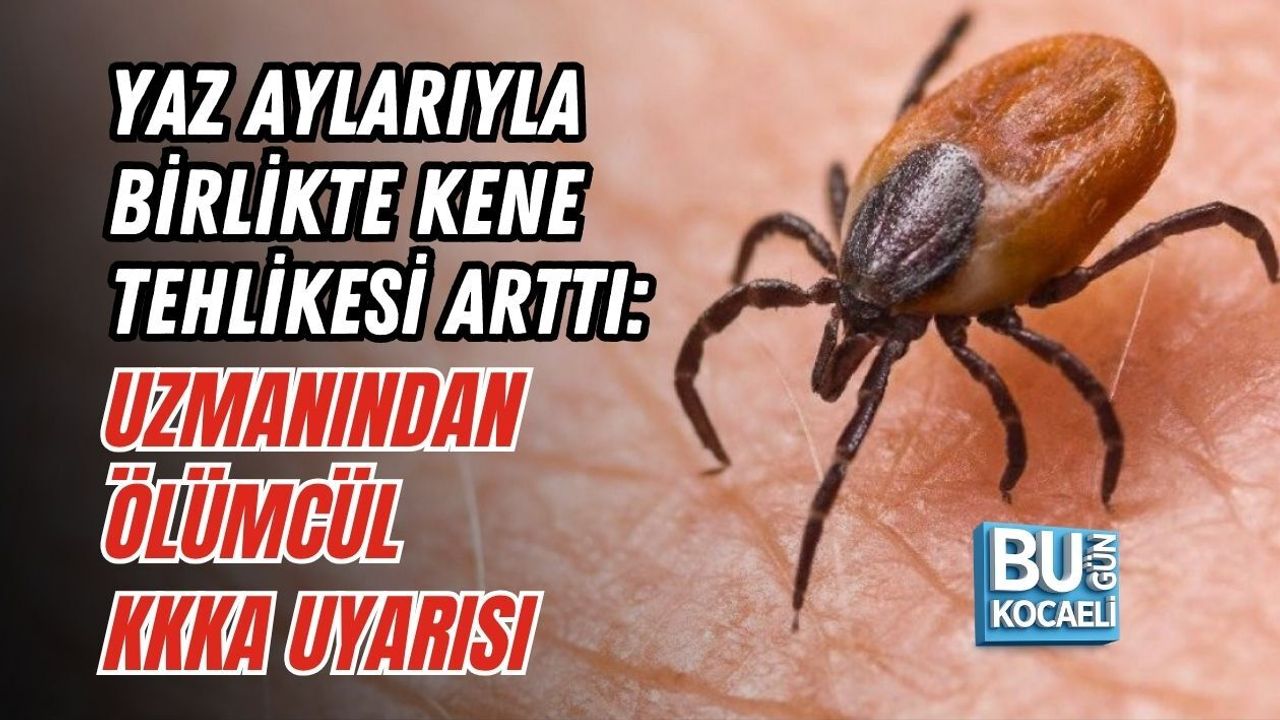 YAZ AYLARIYLA BİRLİKTE KENE TEHLİKESİ ARTTI: UZMANINDAN ÖLÜMCÜL KKKA UYARISI