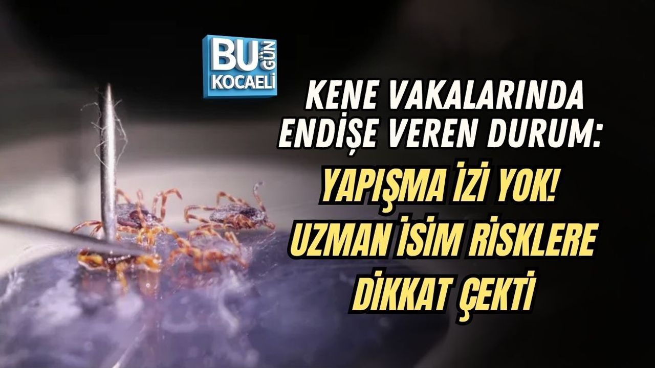 KENE VAKALARINDA ENDİŞE VEREN DURUM: YAPIŞMA İZİ YOK! UZMAN İSİM RİSKLERE DİKKAT ÇEKTİ