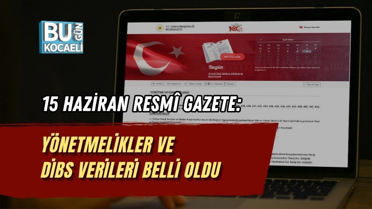 15 HAZİRAN RESMÎ GAZETE: YÖNETMELİKLER VE DİBS VERİLERİ BELLİ OLDU