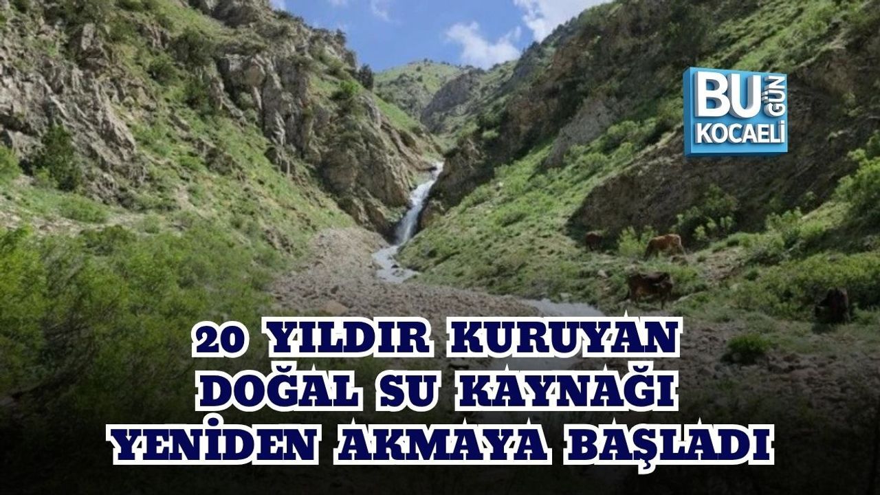20 YILDIR KURUYAN DOĞAL SU KAYNAĞI YENİDEN AKMAYA BAŞLADI