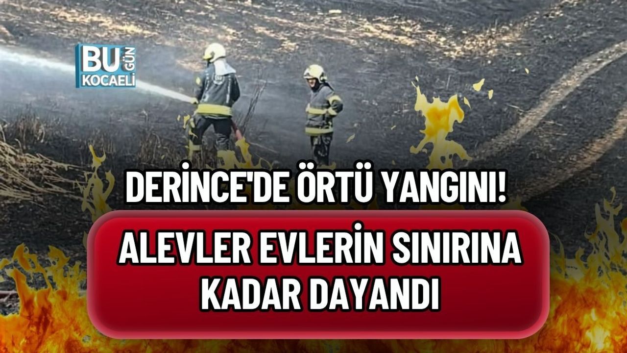 DERİNCE'DE ÖRTÜ YANGINI! ALEVLER EVLERİN SINIRINA KADAR DAYANDI