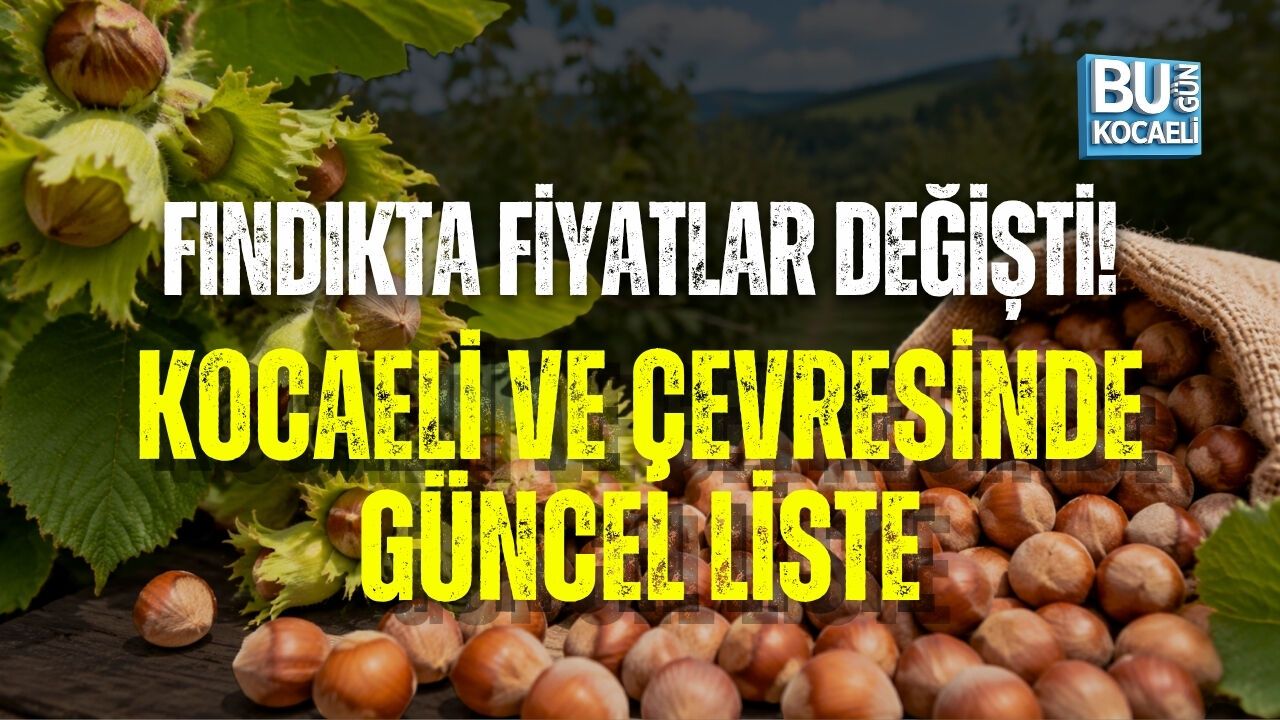 FINDIKTA FİYATLAR YENİDEN DEĞİŞTİ! KOCAELİ, KANDIRA, KARASU VE DÜZCE’DE GÜNCEL LİSTE