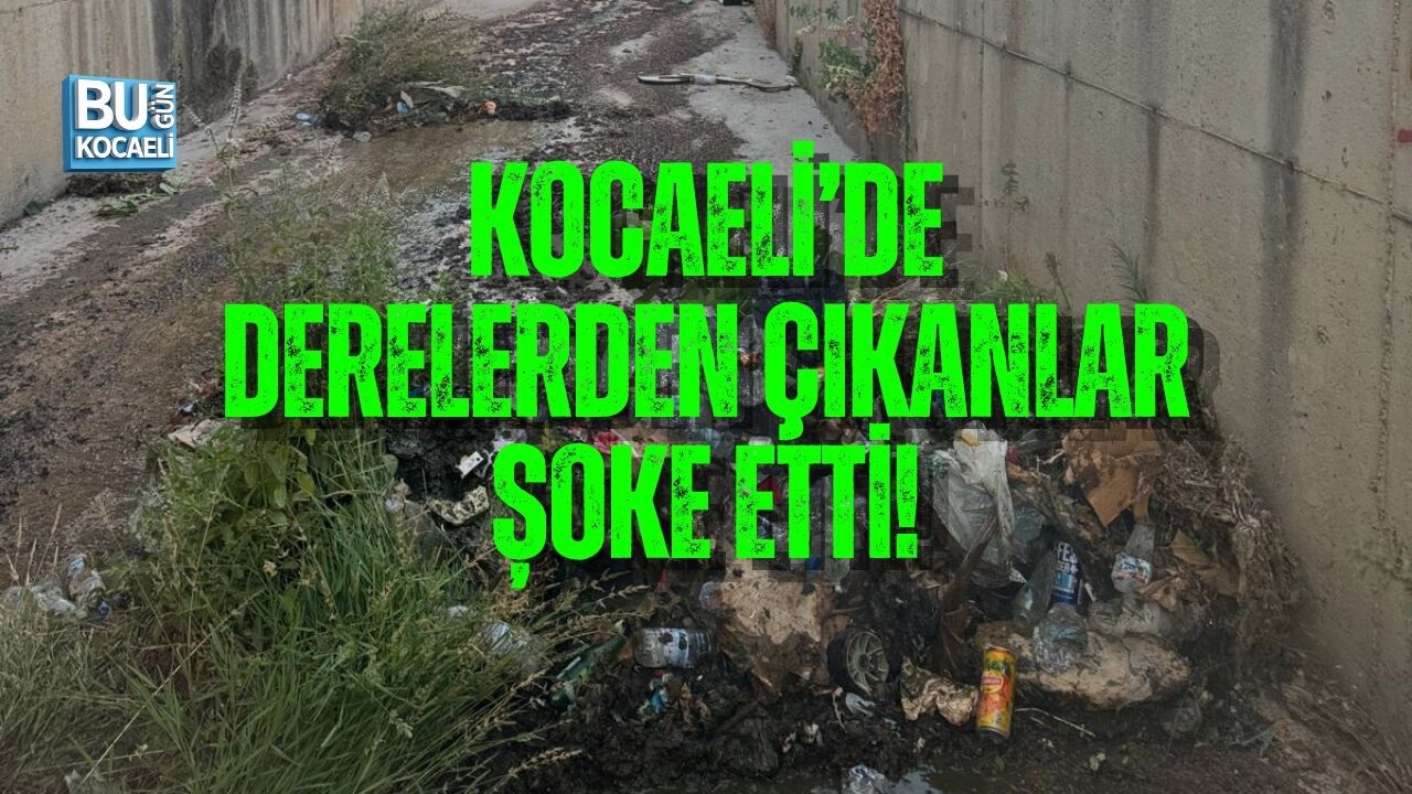 KOCAELİ’DE DERELERDEN ÇIKANLAR ŞOKE ETTİ!