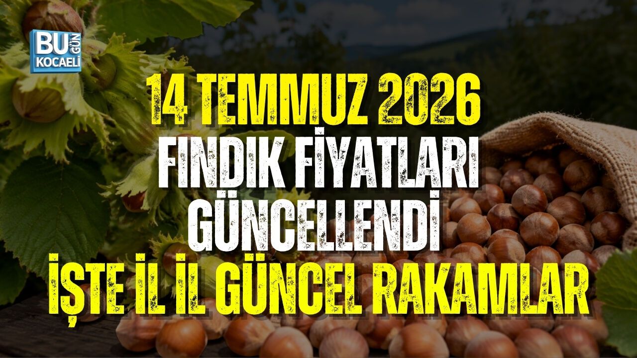 13 TEMMUZ 2026 İL İL GÜNCEL FINDIK FİYATLARI: KOCAELİ, KANDIRA, KARASU VE SAKARYA’DA FINDIK KAÇ TL?