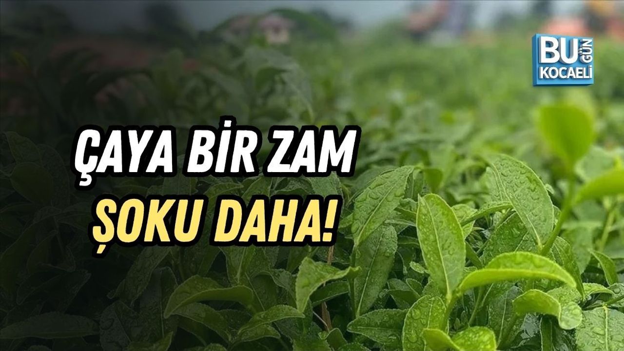 ÇAYA BİR ZAM ŞOKU DAHA! FİYATLAR YİNE ARTTI