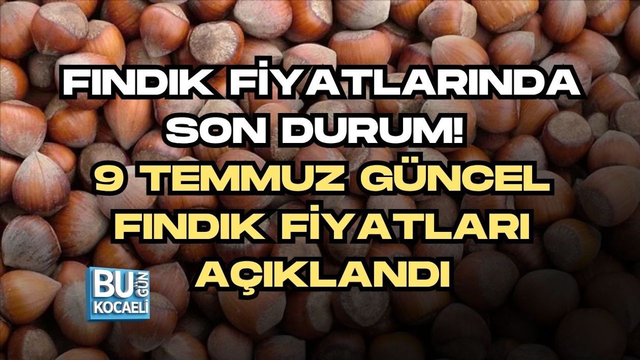 FINDIK FİYATLARINDA SON DURUM! 9 TEMMUZ GÜNCEL FINDIK FİYATLARI AÇIKLANDI