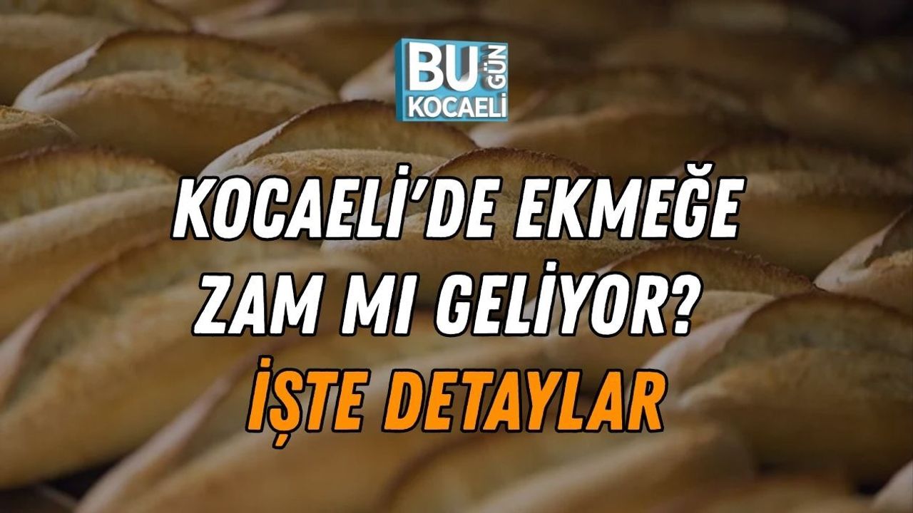 KOCAELİ'DE EKMEĞE ZAM MI GELİYOR? İŞTE DETAYLAR