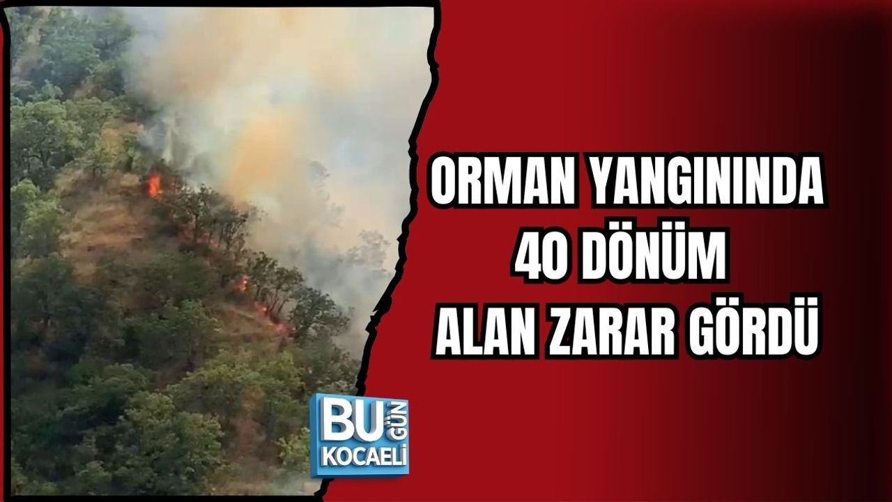 ORMAN YANGININDA 40 DÖNÜM ALAN ZARAR GÖRDÜ