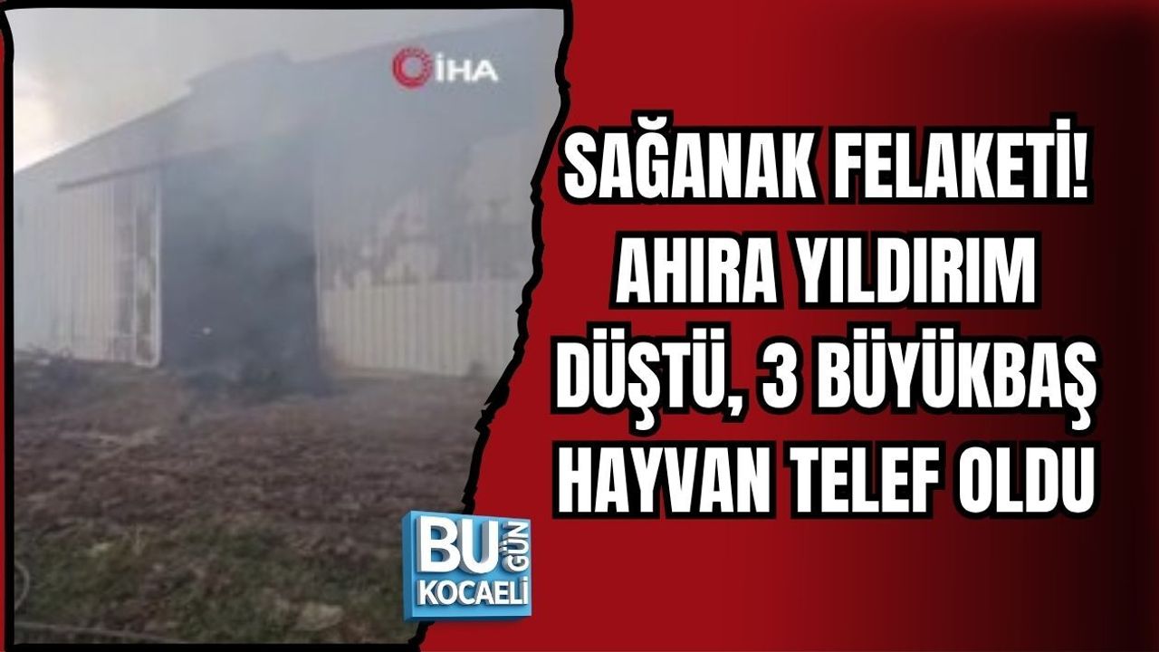 SAĞANAK FELAKETİ! AHIRA YILDIRIM DÜŞTÜ, 3 BÜYÜKBAŞ HAYVAN TELEF OLDU
