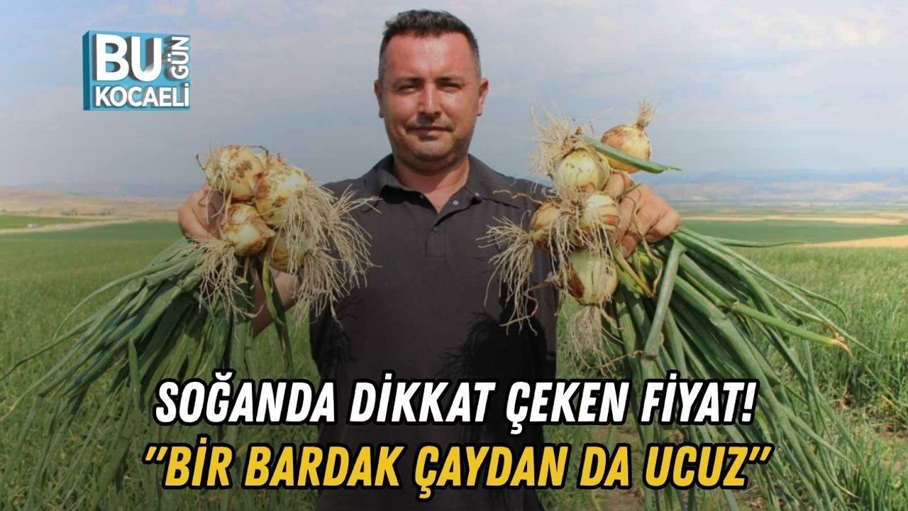 SOĞANDA DİKKAT ÇEKEN FİYAT! "BİR BARDAK ÇAYDAN DA UCUZ"