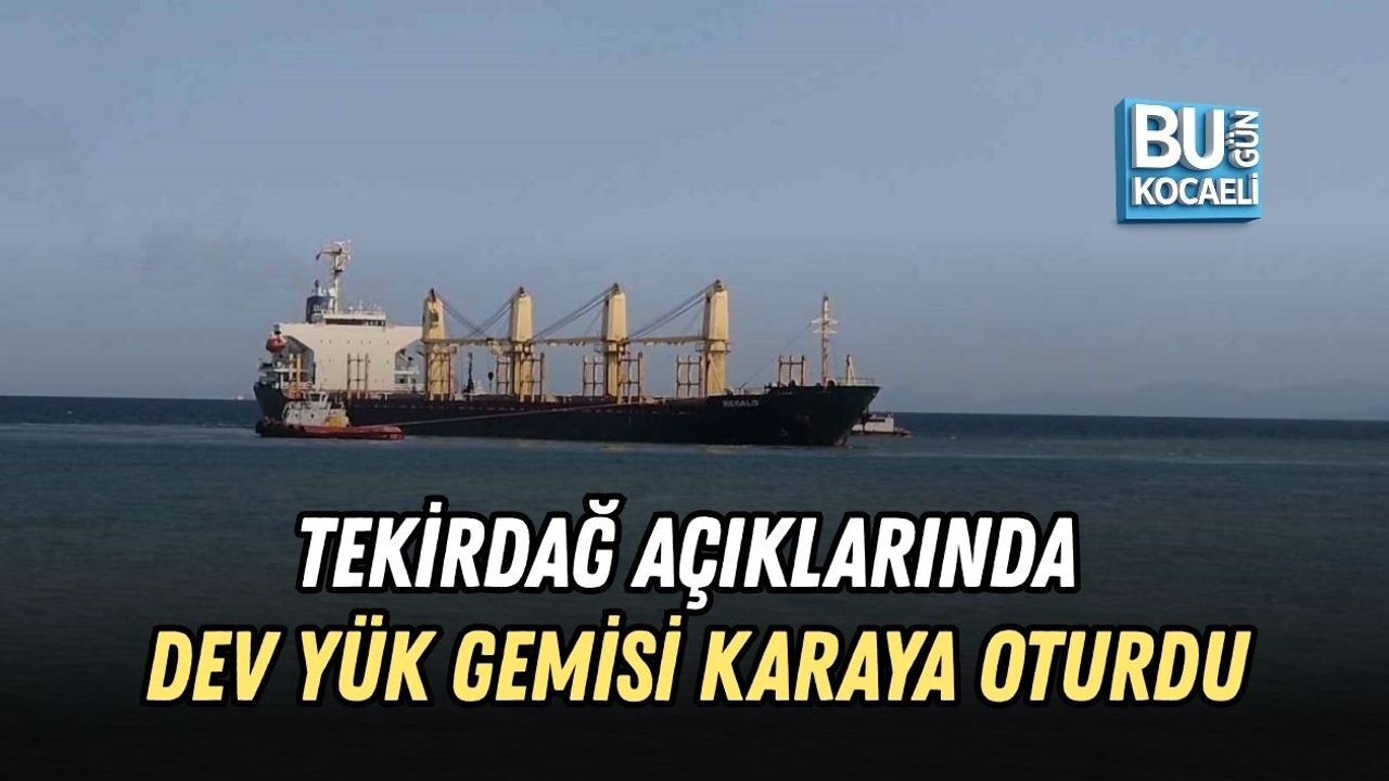 TEKİRDAĞ AÇIKLARINDA DEV YÜK GEMİSİ KARAYA OTURDU