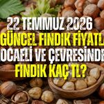 22 TEMMUZ FINDIK FİYATLARI BELLİ OLDU! KOCAELİ, KANDIRA, DÜZCE VE KARASU’DA FINDIK KAÇ TL?