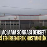 İLAÇLAMA SONRASI DEHŞET! 34 İŞÇİ ZEHİRLENEREK HASTANELİK OLDU