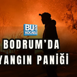 MUĞLA-BODRUM YOLUNDA YANGIN PANİĞİ! YOĞUN DUMAN ULAŞIMI ETKİLEDİ