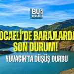KOCAELİ’DE BARAJLARDA SON DURUM! YUVACIK’TA DÜŞÜŞ DURDU