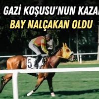 Spor
