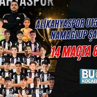 Spor
