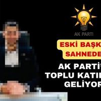 Siyaset